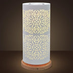 Earnest Living Waterless Diffuser 100ml Nebulizing Diffusion System for Large Ambient Space Studio Home Office Hotel Spa