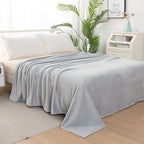 Elegant Comfort Luxury Velvety Feel Blanket, All-Season Lightweight Blanket, Ultra Plush, Soft, Cozy-Fuzzy Flannel Fleece for Couch, Sofa, Bed, Travel, Solid Design, Twin/Twin XL, Silver Gray