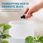Clarston Humidifiers for Bedroom, 2.5L Cool Mist Humidifier with Essential Oils Diffuser and Nightlight, Top Fill Humidifiers for Home Large Room, Timer, Auto Shut-off, 25H Runtime