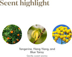 Young Living Peace & Calming Essential Oil 15ml - Pure & Tranquil Aromatherapy - Relax, Unwind, and Find Inner Peace - Topical & Aromatic - Blue Tansy, Orange, Tangerine, Patchouli, and Ylang Ylang