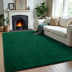 Andecor Shag Area Rug Fluffy Carpets, 5x7 Green Washable Living Room Bedroom Rugs, Soft Fuzzy Indoor Rugs for Dorm Boys Girls Kids Room Nursery Home Decorations