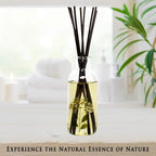 Urban Naturals Spring Blooms Scented Reed Diffuser Oil Set | Real Flowers in the Bottle! Bulgarian Rose, Egyptian Jasmine, Blue Orchid, Lily of the Valley, Amber | Great Idea