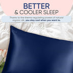 Blissy Silk Pillowcase - 100% Pure Mulberry Silk - 22 Momme 6A High-Grade Fibers - Silk Pillow Cover for Hair & Skin - Regular, Queen & King (Blue, Queen)
