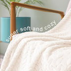 Exclusivo Mezcla Fleece Queen Size Blanket for Bed, 90x90 Inches Soft Cozy Jacquard Flannel Blankets, Lightweight Fuzzy Plush Warm for Women, Off White