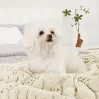 Amélie Home Chunky Knit Throw Blanket, Dual-Sided Soft Chenille Breathable Cable Knitted Blanket for Couch, Farmhouse Decorative Throw for Sofa & Chair, 60"x80", Ivory