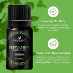 Handcraft Blends Peppermint Essential Oil – 0.33 Fl Oz – 100% Pure and Natural – Premium Grade Essential Oil for Diffuser and Aromatherapy, Skin, Massage, Candle and Soap Making Fragrance