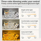 Can Switch 16 Colors Artificial Crystal Table Lamp, 2026 New 16 Color Rose Crystal Diamond LED Table Lamp, RGB Color Changing Rose Diamond Design, with Remote Control USB Charging Touch Sensor (Large)