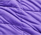 TONGDADA Minky Weighted Blanket | 40''x60'',10lbs | Cozy and Soft Minky Weighted Throw Blanket | Luxury Velvet with Premium Glass Beads | Violet Minky