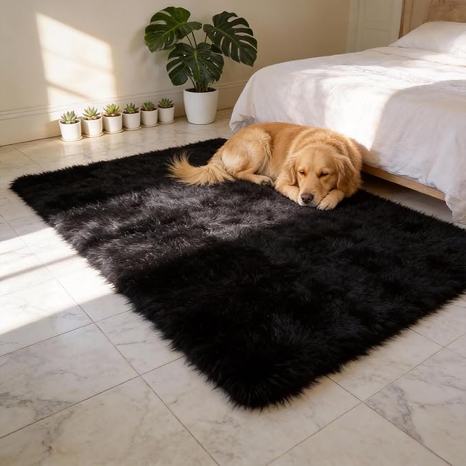 Shag Black Rug, 4x6 Area Rug for Dorm Bedroom Living Room, Non-Slip Ultra Fluffy Soft Area Rugs for Kids Room, Girls Room, Study, Office, Playroom, Easy to Clean, Modern Carpet Décor