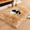 Asrug Faux Fur Dog Rug Pet Mat Ultra Cozy Throw Rug, Luxury Soft Faux Sheepskin Chair Cover Seat Pad Shag Fur Area Rugs, 24 by 36 inches (Khaki)