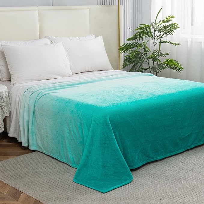 Elegant Comfort Luxury Velvety Feel Blanket, All-Season Lightweight Blanket, Ultra Plush, Soft, Cozy-Fuzzy Flannel Fleece for Couch, Sofa, Bed, Travel, Ombre Design, Full/Queen, Tiffany