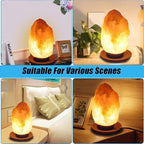 2 Pack Salt Lamp Cord Replacement with 2 Pack Wooden Tray and 8 Pack E12 Halogen Salt Lamp Bulbs