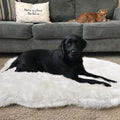 Asrug Soft Faux Fur Pet Mat Plush and Fluffy Dog Rug Ultra Cozy Pet Throw Rug for Dogs Cats, Luxury Soft Faux Sheepskin Chair Cover Seat Pad Shag Fur Dog Rugs Bed for Bedroom, White, 3ftx5ft