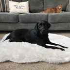 Asrug Soft Faux Fur Pet Mat Plush and Fluffy Dog Rug Ultra Cozy Pet Throw Rug for Dogs Cats, Luxury Soft Faux Sheepskin Chair Cover Seat Pad Shag Fur Dog Rugs Bed for Bedroom, White, 3ftx5ft