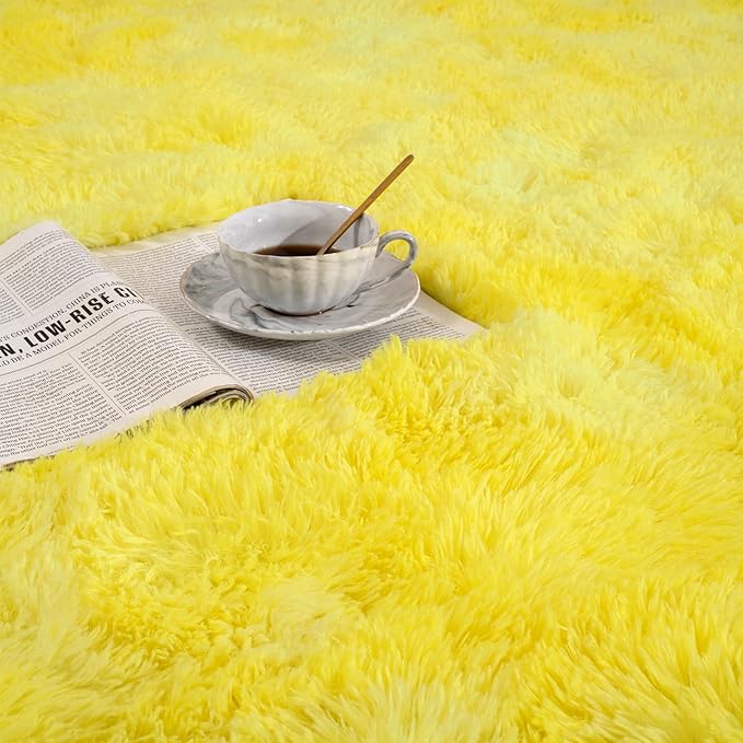Softlife Area Rug for Living Room, Fluffy Shag Plush 6x9 Rainbow Rugs for Bedroom Girls Kids, Shaggy Soft Fuzzy Tie Dyed Large Carpet for Dorm Bedside Ultra Cozy Non-Slip Indoor Decor