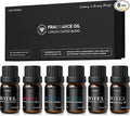 Airversa Hotel Scent Diffuser Oils, Fragrance Oils Set, 10mL | 0.34 Fl Oz x 6