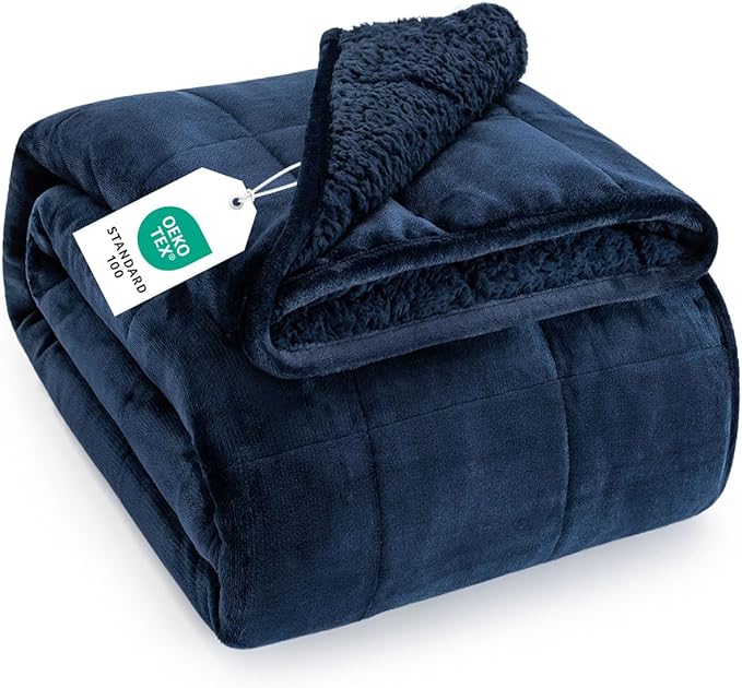 Topblan Sherpa Fleece Weighted Blanket for Adult, 15 lbs Dual Sided Cozy Fluffy Heavy Blanket, Ultra Fuzzy Throw Blanket with Soft Plush Flannel Top, 48 x 72 inches