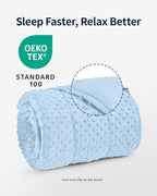 Mr. Sandman Weighted Blanket for Adults, Minky Dots Heavy Blanket for Women, Man Sleeping and Calm, Soft and Cozy Cooling Weighted Throw Blankets, Machine Washable, 48 x 72in, 15 lbs, Light Blue