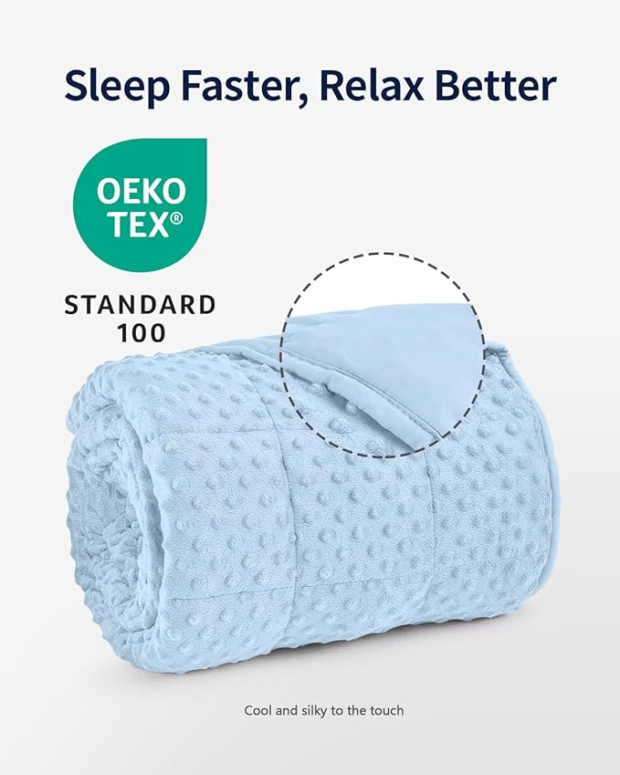 Mr. Sandman Weighted Blanket for Adults Queen Size 20 lbs, Soft Cooling Heavy Minky Blanket for Sleep, Washable Throw Blanket with Glass Beads, 60 x 80 Inches, Light Blue