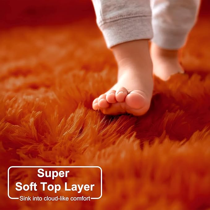 Amdrebio Burnt Orange Area Rugs for Living Room Bedroom, Fluffy Shaggy Fuzzy Thick Shag Rug 5x7 for Kids Room Decor, Modern Cute Plush Furry Dark Orange Carpet for Nursery Dorm Classroom Playroom