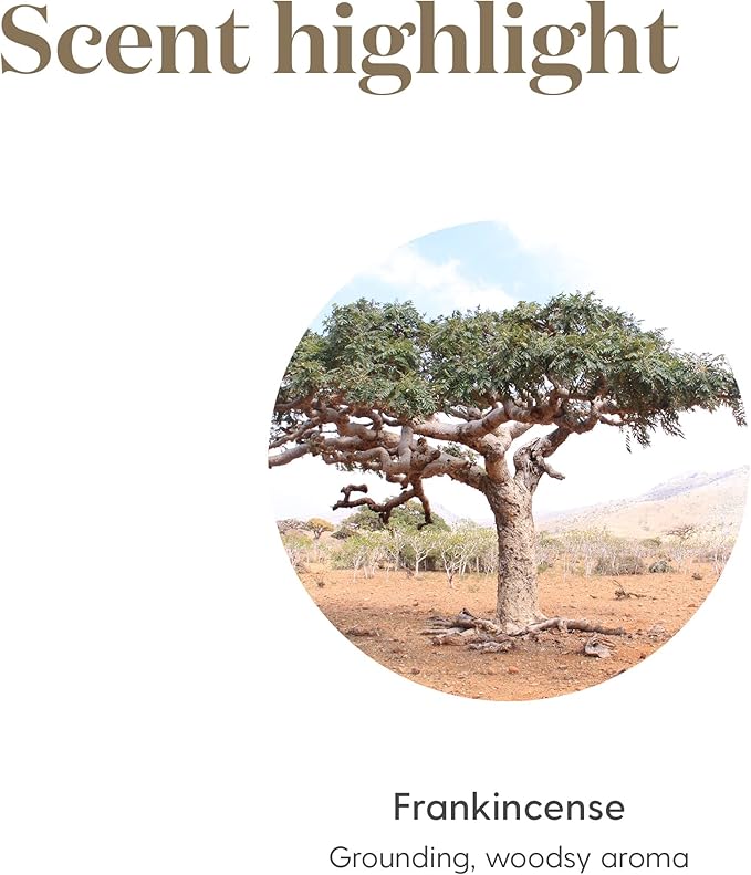 Young Living Frankincense Essential Oil | 5 ml | Seed to Seal Premium Oil for Diffuser, Aromatherapy & Skin Care | Grounding, Calming Aroma | Travel-Friendly Bottle for Daily Self-Care