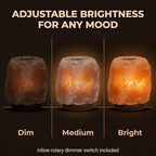 Himalayan Salt Lamp with Aromatherapy Tray & Dimmer Switch - Salt Rock Lamp for Bedroom, Relaxation & Sleep | Calming Meditation Spa Lamp | Himalayan Salt Diffuser | Warm Glow Night Light | Gift Ready