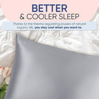 Blissy Silk Pillowcase - 100% Pure Mulberry Silk - 22 Momme 6A High-Grade Fibers - Silk Pillow Cover for Hair & Skin - Regular, Queen & King (Silver, Standard)