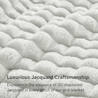 BEDELITE Light Grey Throw Blanket for Couch and Bed- Super Soft and Warm 3D Checkered Fluffy Fuzzy Fleece Blanket, Luxurious Plush Cozy Blanket for Room Decor Fall and Winter, 50x60 inches