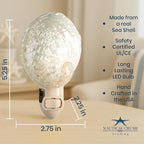 Nautical Crush Trading Seashell Night Light – Beach Night Light with Pearled Abalone – Shell Light for Bathroom – Sea Shell Lamp – Seashell Lamp Plug Into Wall