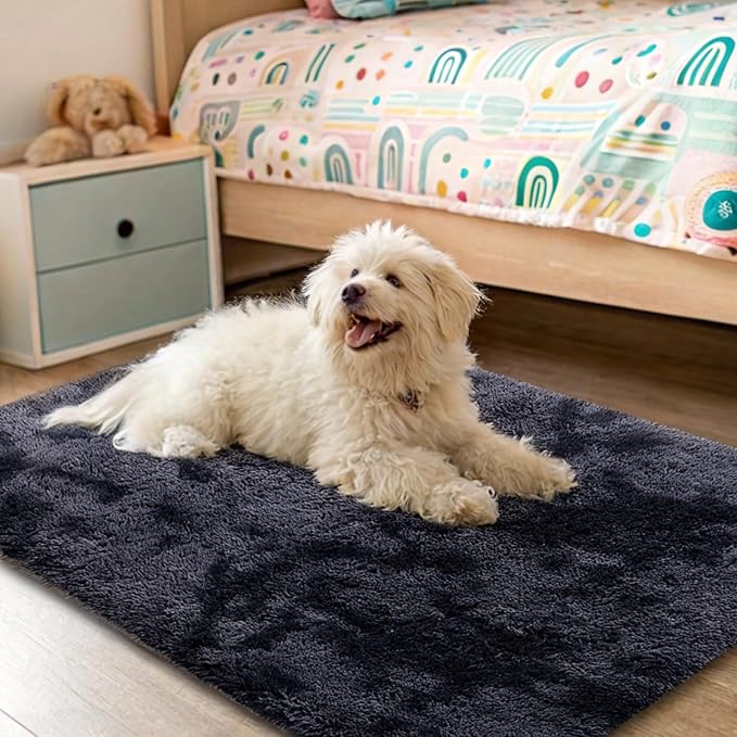 OLANLY Area Rugs for Living Room Bedroom, Machine Washable 2x3 Feet Soft Fluffy Shaggy Bedside Rug, Indoor Floor Carpet for Kids Girls and Boys, Nursery Room, Home Decor Aesthetic, Deep Grey Tie-dye