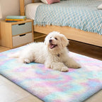 OLANLY Area Rugs for Living Room Bedroom, Machine Washable 2x3 Feet Soft Fluffy Shaggy Bedside Rug, Indoor Floor Carpet for Kids Girls and Boys, Dorms, Nursery Room, Home Decor Aesthetic, Rainbow