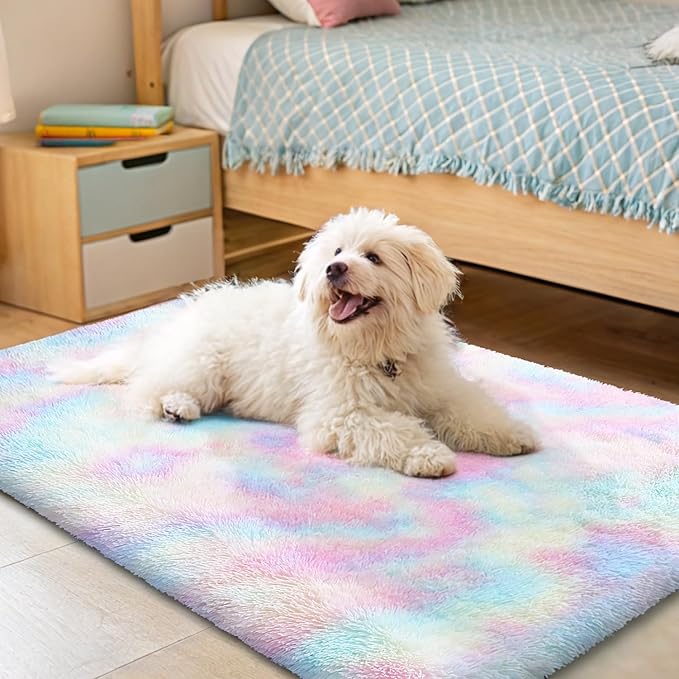 OLANLY Area Rugs for Living Room Bedroom, Machine Washable 2x3 Feet Soft Fluffy Shaggy Bedside Rug, Indoor Floor Carpet for Kids Girls and Boys, Dorms, Nursery Room, Home Decor Aesthetic, Rainbow