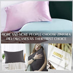 ZIMASILK 100% Pure Mulberry Silk Pillowcase for Hair and Skin Health,Soft and Smooth,Both Sides Premium Grade 6A Silk,600 Thread Count,with Hidden Zipper,1pc (Queen 20''x30'',Dark Gray)