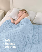 Mr. Sandman Weighted Blanket for Adults Queen Size 20 lbs, Soft Cooling Heavy Minky Blanket for Sleep, Washable Throw Blanket with Glass Beads, 60 x 80 Inches, Light Blue