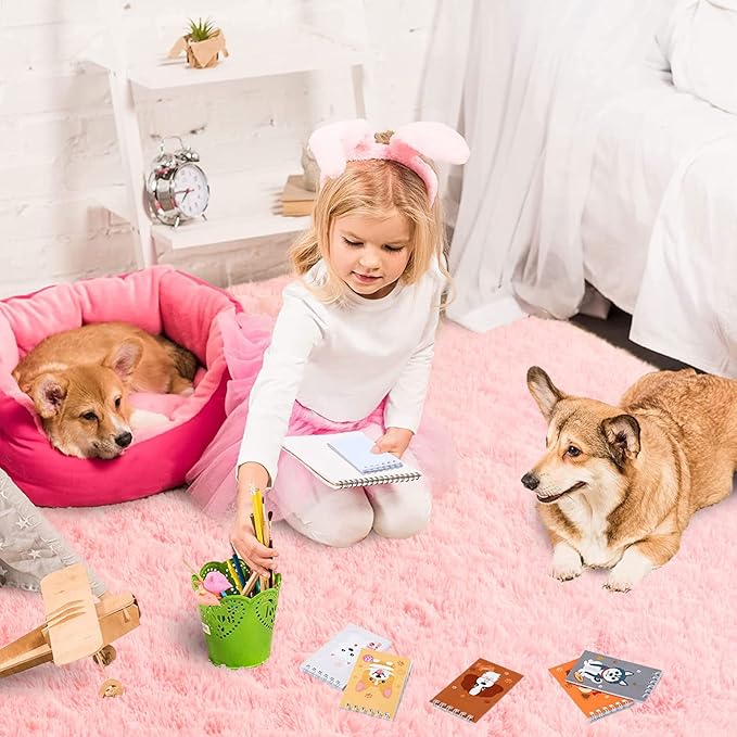 ISEAU Fluffy Rug Dorm College Apartment Carpets Soft Shaggy Area Rugs Indoor Floor Mats for Kids Room Fuzzy Carpet Bedside for Boys Girls Bedroom Living Room Home Decor Mat, 5ft x 8ft, Pink