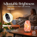 UMAID Himalayan Salt Lamp 8-10 inch (7-11 lb) with Dimmable Switch and Night Light Bulb on Handcrafted Wooden Base, Natural Pink Rock Salt Lamp