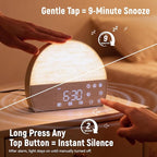 Sunrise Alarm Clock for Heavy Sleepers & Adults, Wake Up Light with Bluetooth Speaker, White Noise Machine with 30 Soothing Sounds, FM Radio, Dual Alarms, Dimmable Clock, Smart Touch Screen