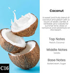 HoogaLife Car Air Freshener Diffuser 2 Pack Hanging Air Freshener Diffuser - Coconut Fragrance Oil Air D iffuser for Car, 45+ Days Long Lasting Fragrance Made in USA (C16)