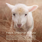 Ashler Faux Fur Rug, Fluffy Shaggy Area Rug Ultra Soft 2.3 x 3.3 Feet Sheepskin Fur Rug, Blush Pink Fuzzy Machine Washable Shag Rug, Nursery Decor Throw Rugs for Bedroom, Kids Room, Living Room