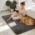 Shag Grey Rug 4x6 Area Rugs for Bedroom Dorm Living Room, Non-Slip Ultra Soft Fluffy Area Rugs for Kids Room, Girls Room, Study, Office, Playroom, Easy to Clean, Modern Carpet Décor