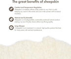 Nordic Sheep Real Sheepskin Rug 2x6 ft | Sheepskin Rugs for Living Room and Sofa | Large Bedside Rugs for Bedrooms is Breathable & Heat-regulating | Fluffy Rug in Color White