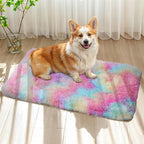 Blivonta Rainbow Rug for Girls Bedroom, 2x3 Fluffy Area for Kids Playroom, Furry Carpet for Nursery, Shaggy for Teen Living Room, Thick Fuzzy Plush for Dorm, Cute Room Decor for Baby