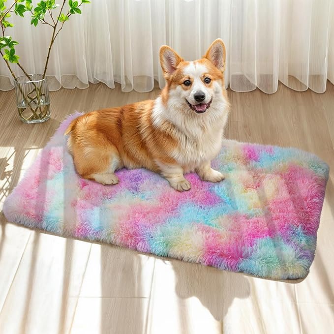 Blivonta Rainbow Rug for Girls Bedroom, 2x3 Fluffy Area for Kids Playroom, Furry Carpet for Nursery, Shaggy for Teen Living Room, Thick Fuzzy Plush for Dorm, Cute Room Decor for Baby