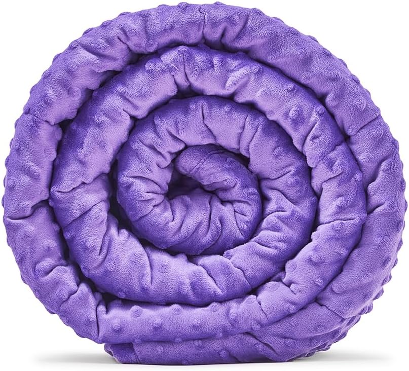 TONGDADA Minky Weighted Blanket | 40''x60'',10lbs | Cozy and Soft Minky Weighted Throw Blanket | Luxury Velvet with Premium Glass Beads | Violet Minky