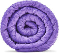 TONGDADA Minky Weighted Blanket | 40''x60'',7lbs | Cozy and Soft Minky Weighted Throw Blanket | Luxury Velvet with Premium Glass Beads | Violet Minky