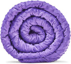 TONGDADA Minky Weighted Blanket | 40''x60'',7lbs | Cozy and Soft Minky Weighted Throw Blanket | Luxury Velvet with Premium Glass Beads | Violet Minky