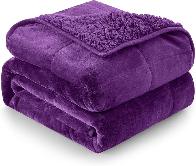 Cottonblue Weighted Blanket 15 lbs for Adults, Flannel Shaggy Sherpa Weighted Blanket for Queen Bed Comfort Weighted Blankets for Calming and Relax, Bed Sofa Heavy Blankets, 48x72 inches, Purple