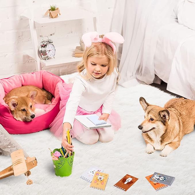 ISEAU 4x6 Area Rug for Living Room, Cream White Rugs for Bedroom, Kitchen, Soft Shaggy Carpets, Fluffy and Machine Washable Mats, Under Bed, On Nursery Floors Mat, Boys, Girls Room Carpet Decor