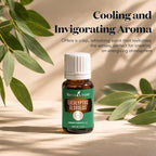 Young Living Eucalyptus Globulus Essential Oil | Cooling, Refreshing Aroma for Diffusion & Massage | Supports Breathing Comfort & Relaxation | Premium Seed to Seal® Quality Oil | 5ml