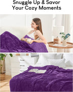 Cottonblue Weighted Blanket 15 lbs for Adults, Flannel Shaggy Sherpa Weighted Blanket for Queen Bed Comfort Weighted Blankets for Calming and Relax, Bed Sofa Heavy Blankets, 48x72 inches, Purple